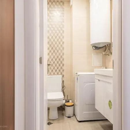 Daire Aquarelle - Forest Chill *