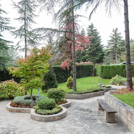 Daire Aquarelle - Forest Chill